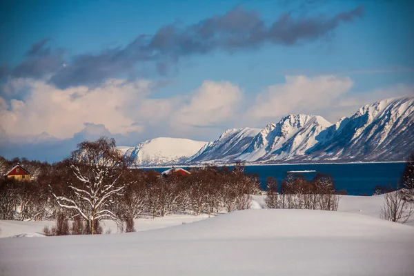 Tél Lofoten Szigeteken Észak Norvégia — Stock Fotó