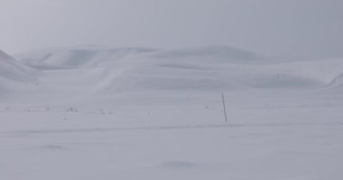 Norveç 'teki Dovrefjell Ulusal Parkı' nda kayak gezisi