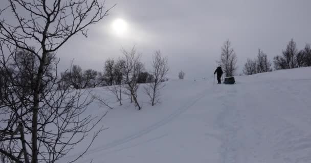 Norveç Teki Dovrefjell Ulusal Parkı Nda Kayak Gezisi — Stok video