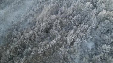 Puigsacalm Tepesi, La Garrotxa, Girona, İspanya 'da İHA ile hava sahnesi