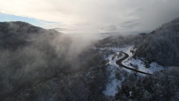 Scena Aerea Con Drone Della Nevicata Bracons Garrotxa Girona Spagna — Video Stock