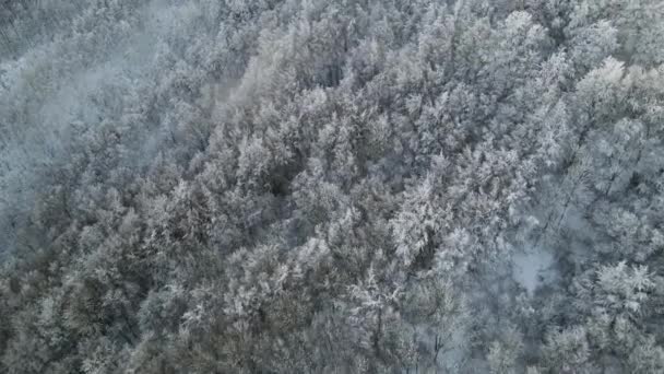 Scène Aérienne Avec Drone Des Chutes Neige Puigsacalm Peak Garrotxa — Video