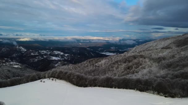 Aerial Scene Drone Snowfall Puigsacalm Peak Garrotxa Girona Spain — Stock Video
