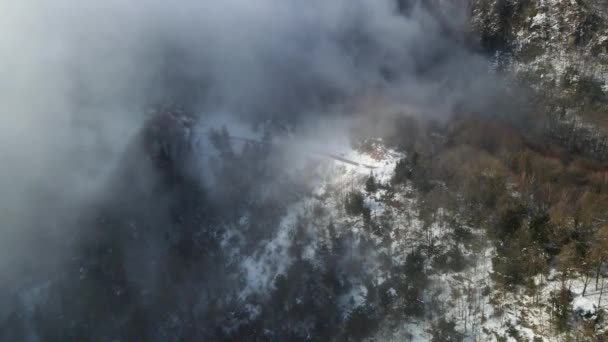 Aerial Scene Drone Snowfall Bracons Garrotxa Girona Spain — Stock Video