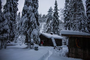 Oulanka Ulusal Parkı, Laponya, Finlandiya 'nın kuzeyinde kış manzarası