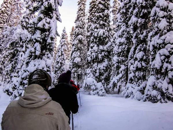 Paesaggio Invernale Nel Parco Nazionale Oulanka Lapponia Finlandia Settentrionale — Foto Stock