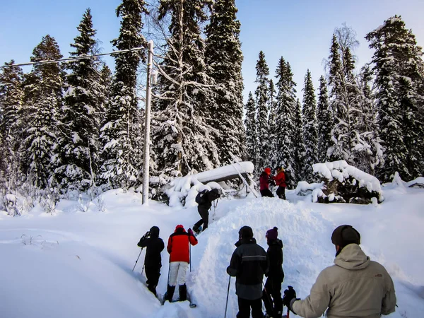 Krajobraz Zimowy Parku Narodowym Oulanka Laponia Północna Finlandia — Zdjęcie stockowe