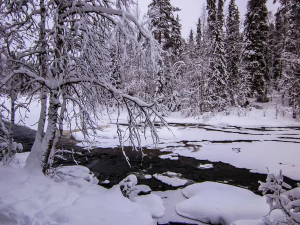 Paysage Hivernal Dans Parc National Oulanka Laponie Finlande Nord — Photo