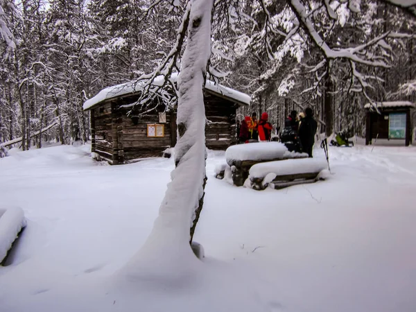 Paisagem Inverno Parque Nacional Oulanka Lapônia Norte Finlândia — Fotografia de Stock