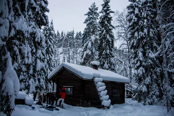 Paisaje Invernal Parque Nacional Oulanka Laponia Norte Finlandia — Foto de Stock