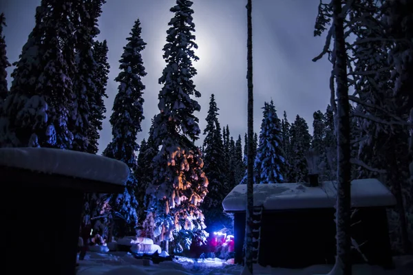 Paisagem Inverno Parque Nacional Oulanka Lapônia Norte Finlândia — Fotografia de Stock
