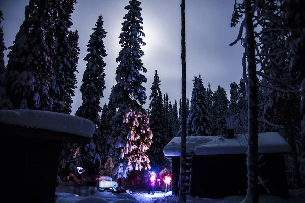 Paisagem Inverno Parque Nacional Oulanka Lapônia Norte Finlândia — Fotografia de Stock