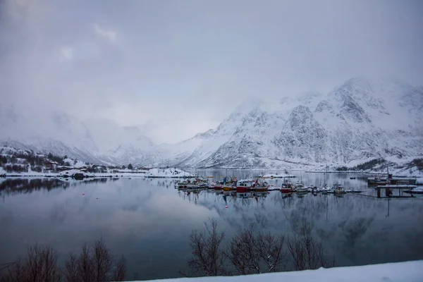 Winter Lofoten Eilanden Noorden Noorwegen — Stockfoto