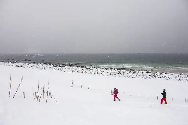 挪威北部Lofoten群岛Bleik海滩冬季 — 图库照片