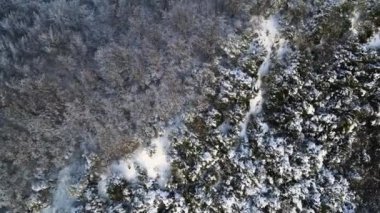 Puigsacalm Tepesi, La Garrotxa, Girona, İspanya 'da İHA ile hava sahnesi