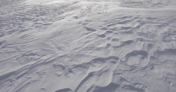 Extreme Winterwind Reinheim Cabin Dovrefjell National Park Noorwegen — Stockvideo
