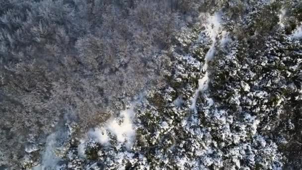 Scène Aérienne Avec Drone Des Chutes Neige Puigsacalm Peak Garrotxa — Video