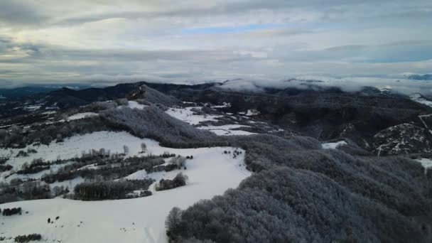 Aerial Scene Drone Snowfall Puigsacalm Peak Garrotxa Girona Spanyolország — Stock videók