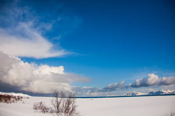 Tél Lofoten Szigeteken Észak Norvégia — Stock Fotó