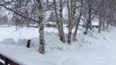 Kış sahnesi Oslo 'dan Trondheim, Norveç' e giden trenin içinden.