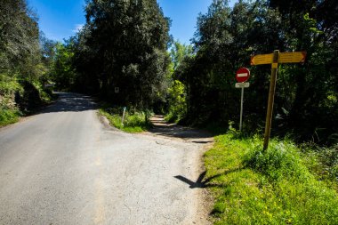 Salt Dels 'de bahar Murris şelalesi, La Garrotxa, Girona, İspanya.