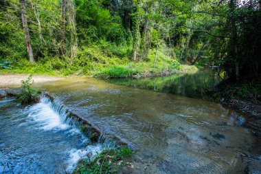 Salt Dels 'de bahar Murris şelalesi, La Garrotxa, Girona, İspanya.