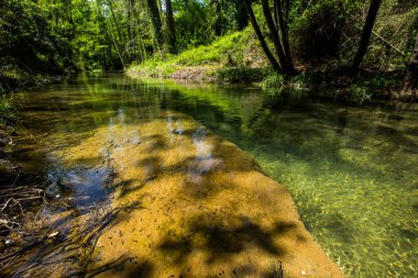 Salt Dels 'de bahar Murris şelalesi, La Garrotxa, Girona, İspanya.