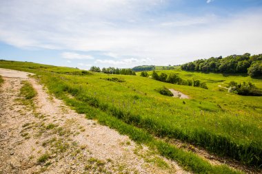 Falgars D En Bas, La Garrotxa, İspanya 'da bahar manzarası.