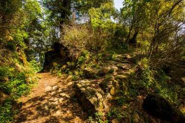 Falgars D En Bas, La Garrotxa, İspanya 'da bahar manzarası.