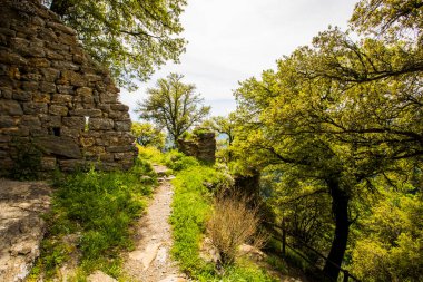 Falgars D En Bas, La Garrotxa, İspanya 'da bahar manzarası.