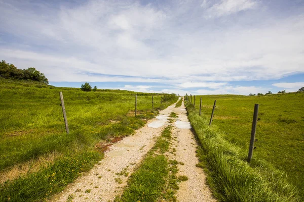 Paisagem Primavera Falgars Bas Garrotxa Espanha — Fotografia de Stock