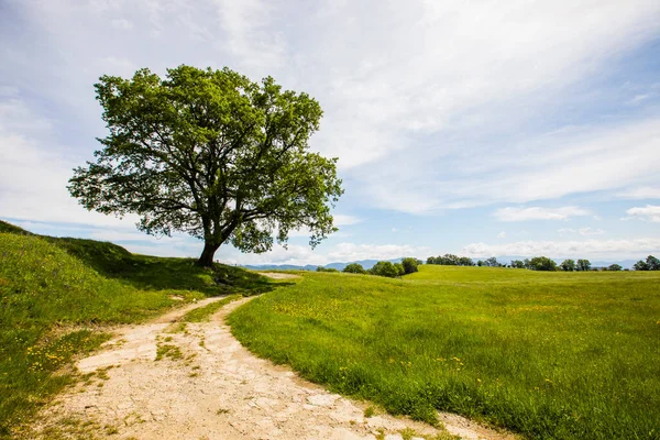 Paisagem Primavera Falgars Bas Garrotxa Espanha — Fotografia de Stock