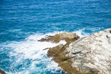 İrlanda topraklarında bahar manzarası.