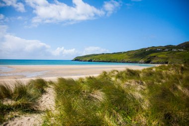 İrlanda topraklarında bahar manzarası.