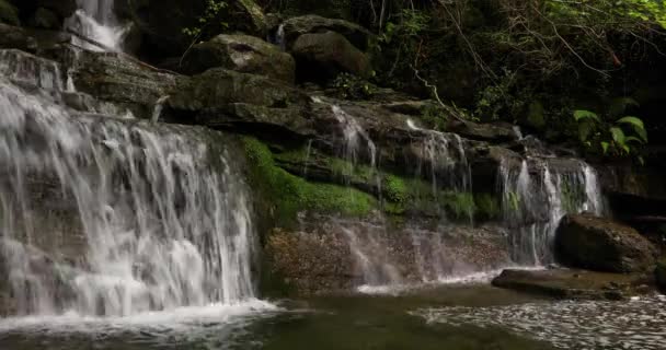 Garrotxa Girona Spanya Bahar Nehri Manzarası — Stok video