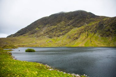 İrlanda topraklarında bahar manzarası.