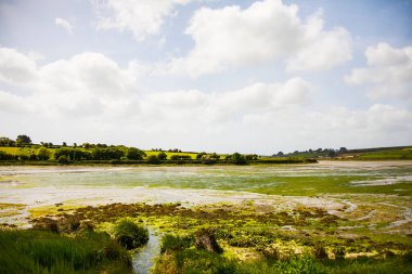 İrlanda topraklarında bahar manzarası.