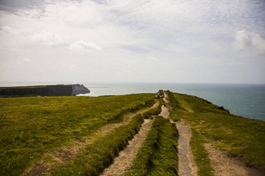 Anne Kayalıkları 'ndaki bahar manzarası (Aillte An Mhothair), İrlanda.