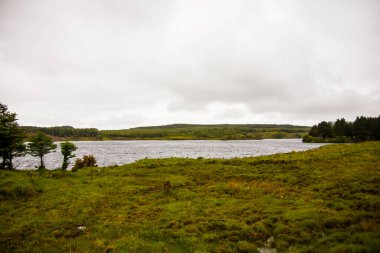 İrlanda topraklarında bahar manzarası.