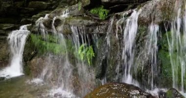 La Garrotxa, Girona, İspanya 'da bahar nehri manzarası