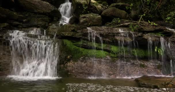 Lente Rivierlandschap Garrotxa Girona Spanje — Stockvideo