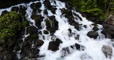 Val D Aran, Lleida, Pyrenees, İspanya 'da yaz manzarası ve şelaleler