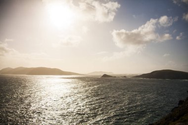İrlanda topraklarında bahar manzarası.