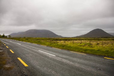 İrlanda topraklarında bahar manzarası.