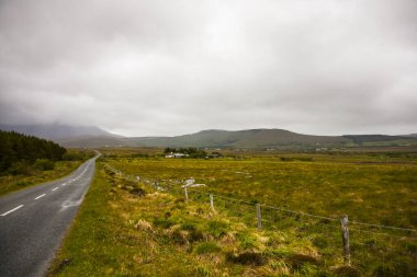İrlanda topraklarında bahar manzarası.