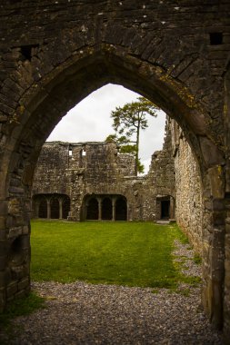 Bective Abbey 'de Bahar (Mainistir Bheigti), İrlanda.