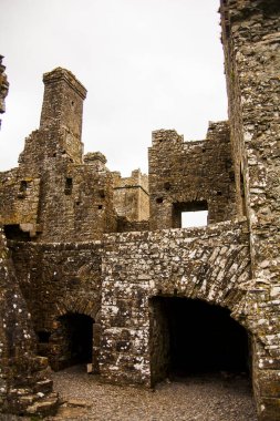 Bective Abbey 'de Bahar (Mainistir Bheigti), İrlanda.