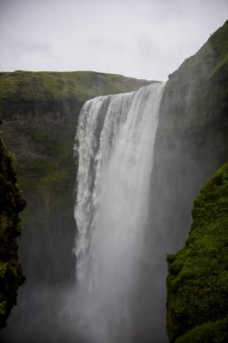Skogafoss Şelalesi 'nde yaz manzarası, Güney İzlanda, Avrupa.