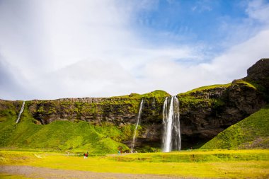 Seljalandsfoss Şelalesi 'nde yaz manzarası, Güney İzlanda, Avrupa.
