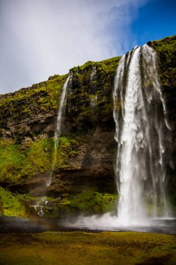 Seljalandsfoss Şelalesi 'nde yaz manzarası, Güney İzlanda, Avrupa.